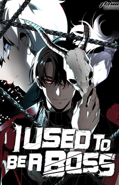 I Used to be a Boss EN Cover Image